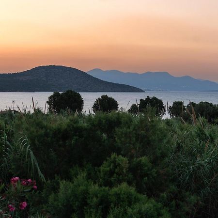 Kounenos House Ίστρο Εξωτερικό φωτογραφία