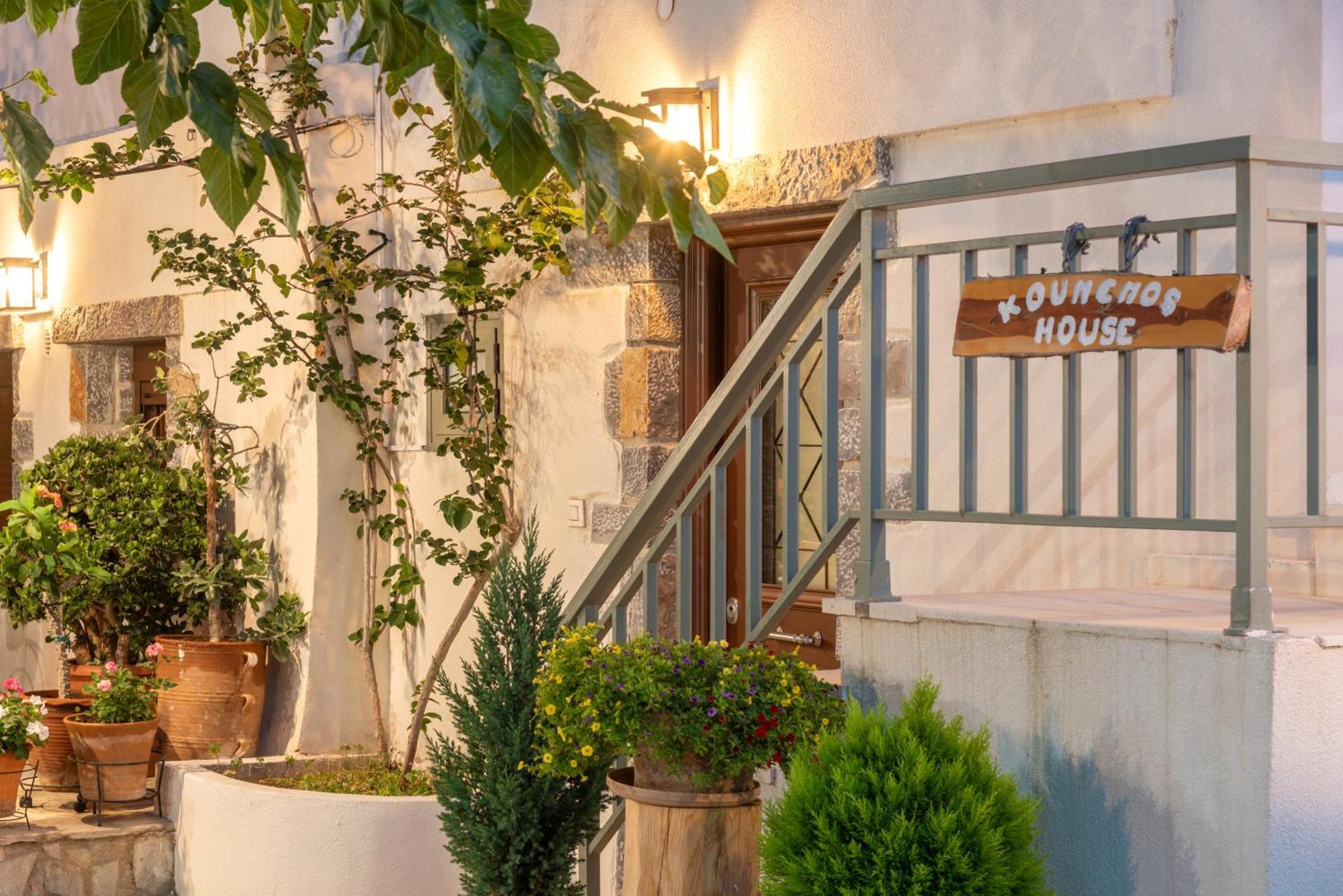 Kounenos House Ίστρο Εξωτερικό φωτογραφία