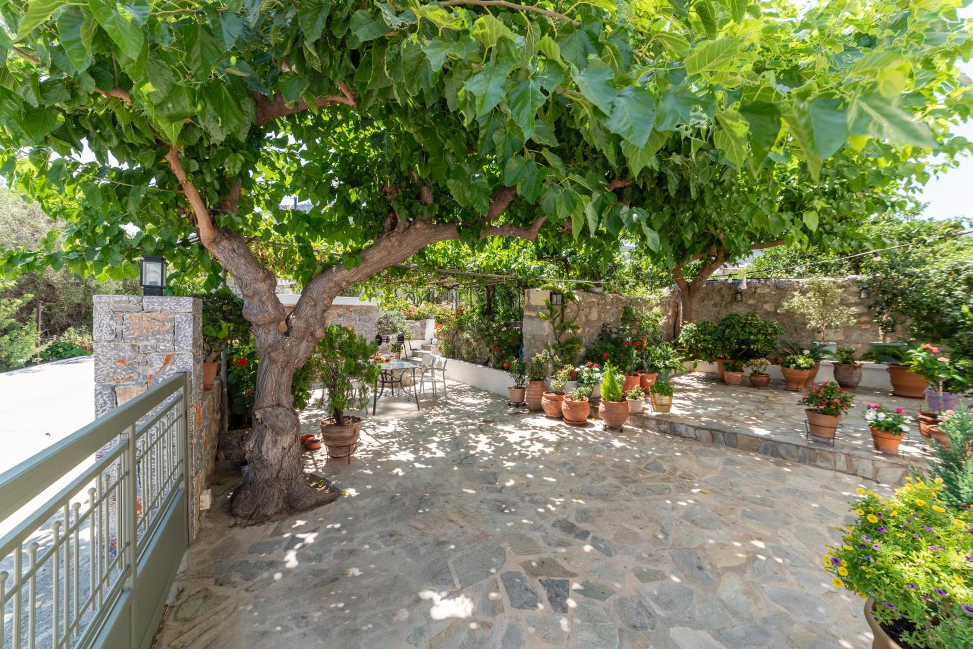 Kounenos House Ίστρο Εξωτερικό φωτογραφία